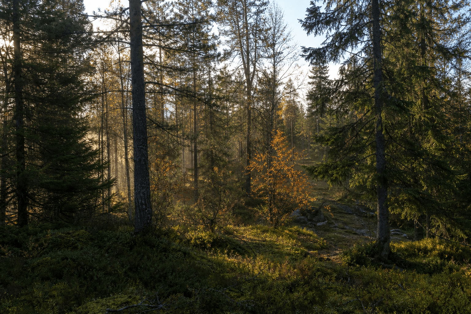 Bilde fra Innhavet